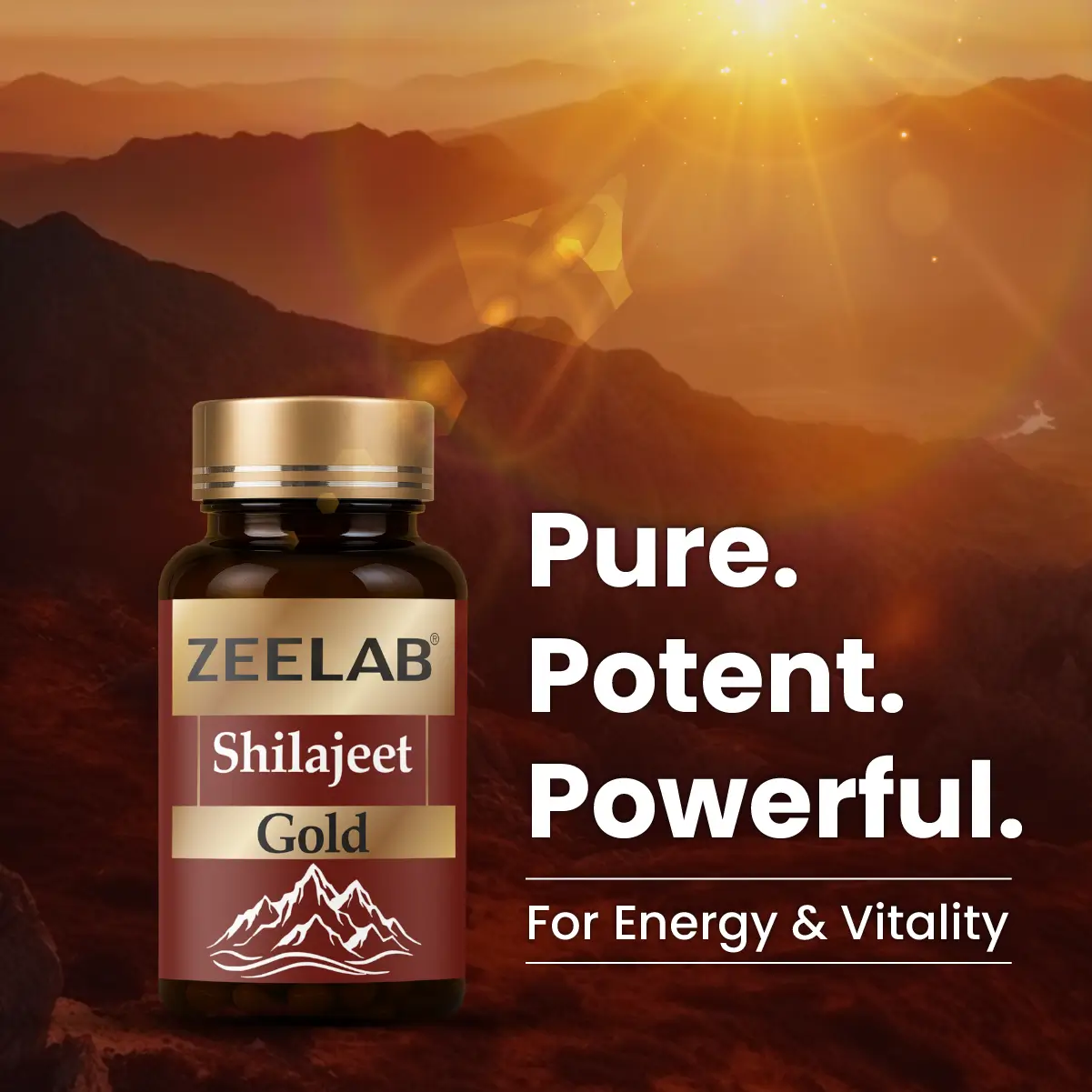 Zeelab Shilajeet Gold 100 Capsule
